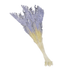 Flax