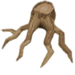 Roots