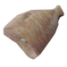 Cooked bass