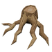 Root