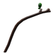 Pine longbow(u)
