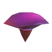 Mushrooms sprout