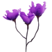 Baitbloom