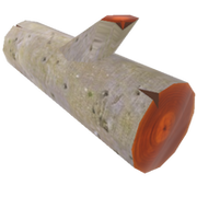 Sycamore log