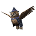 Owl pet