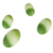 Fairy fern seeds