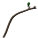 Sycamore longbow(u)