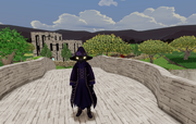 Shadow raven