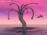 Solaris-Agilus