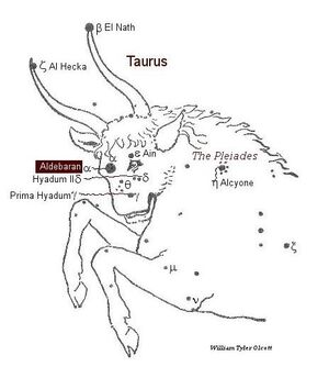 Taurus-William Tyler Olcott