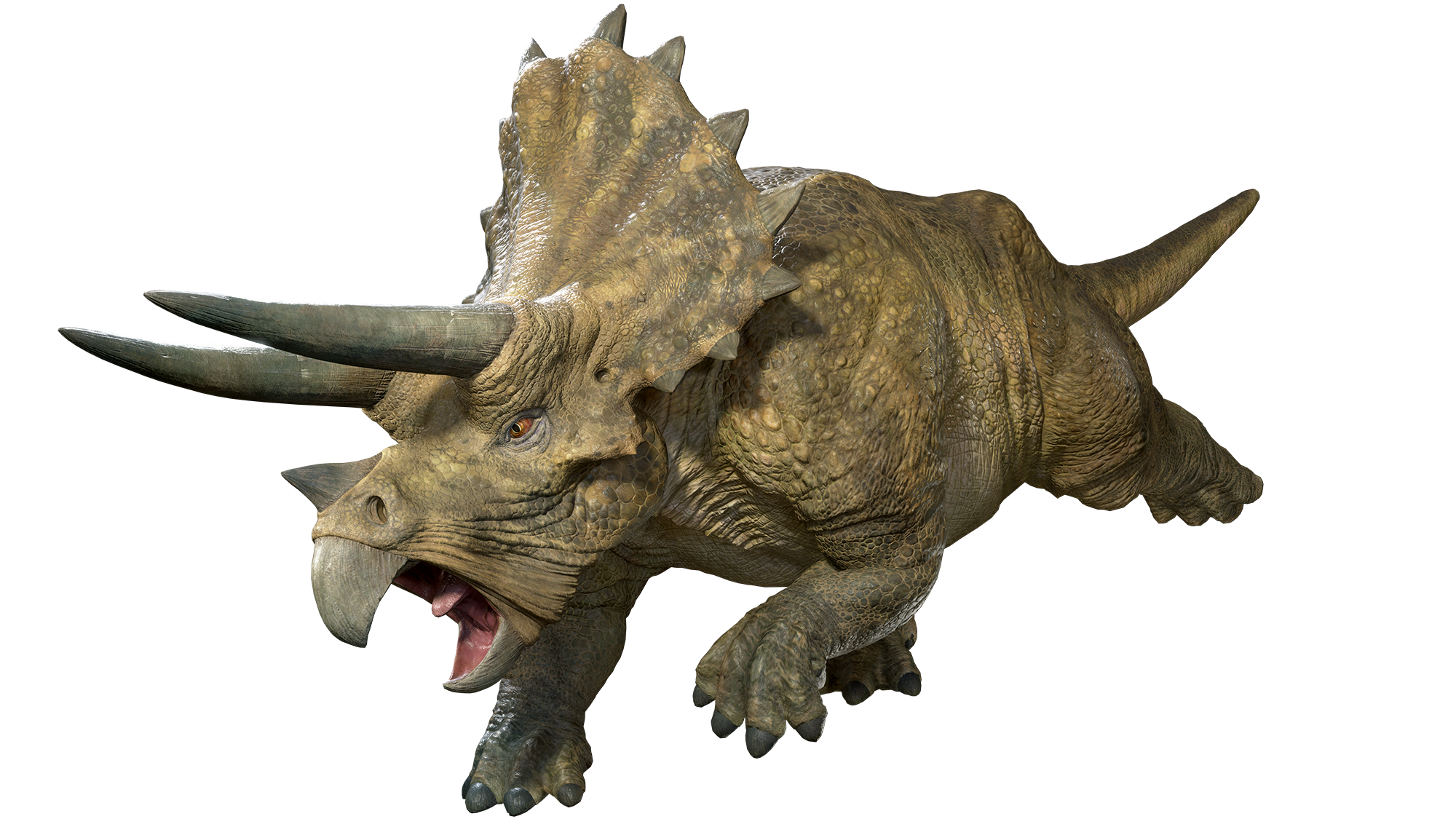 Dino Runners Triceratops
