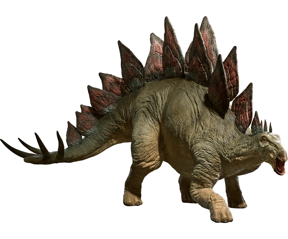 dinosaurs stegosaurus