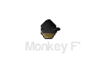 Monkey f