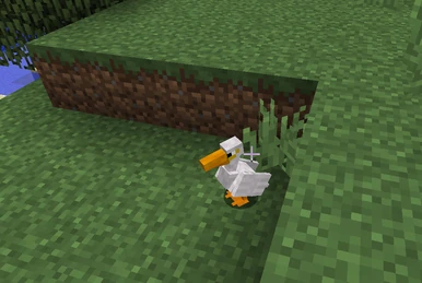 How to Tame a Duck in Exotic Birds Minecraft: Ultimate Guide