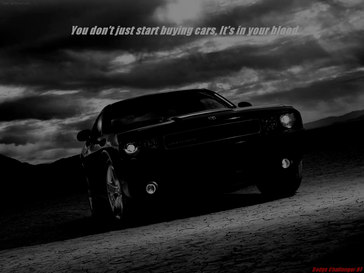 Exotic Cars WikiWallpapers Exotic Cars Wiki Fandom