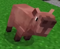 Capybara in minecraft #capybara #minecraftbuilding #minecraftbuilds #m