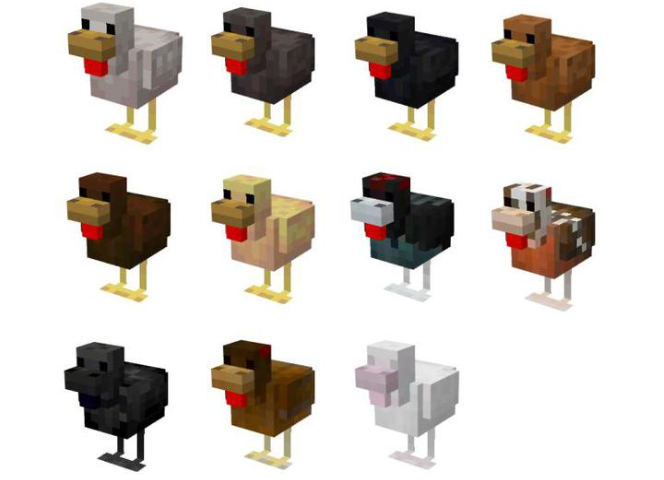 Chicken – Minecraft Wiki