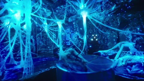 Blue Falcon Hotel transformed by the Protomolecule