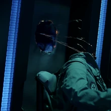 Cqb The Expanse Wiki Fandom Syfy debuts trailer for 'the expanse'. cqb the expanse wiki fandom