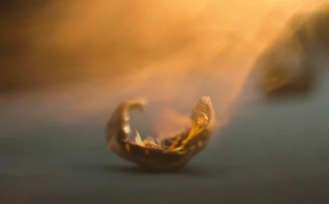 A Death slug being burned