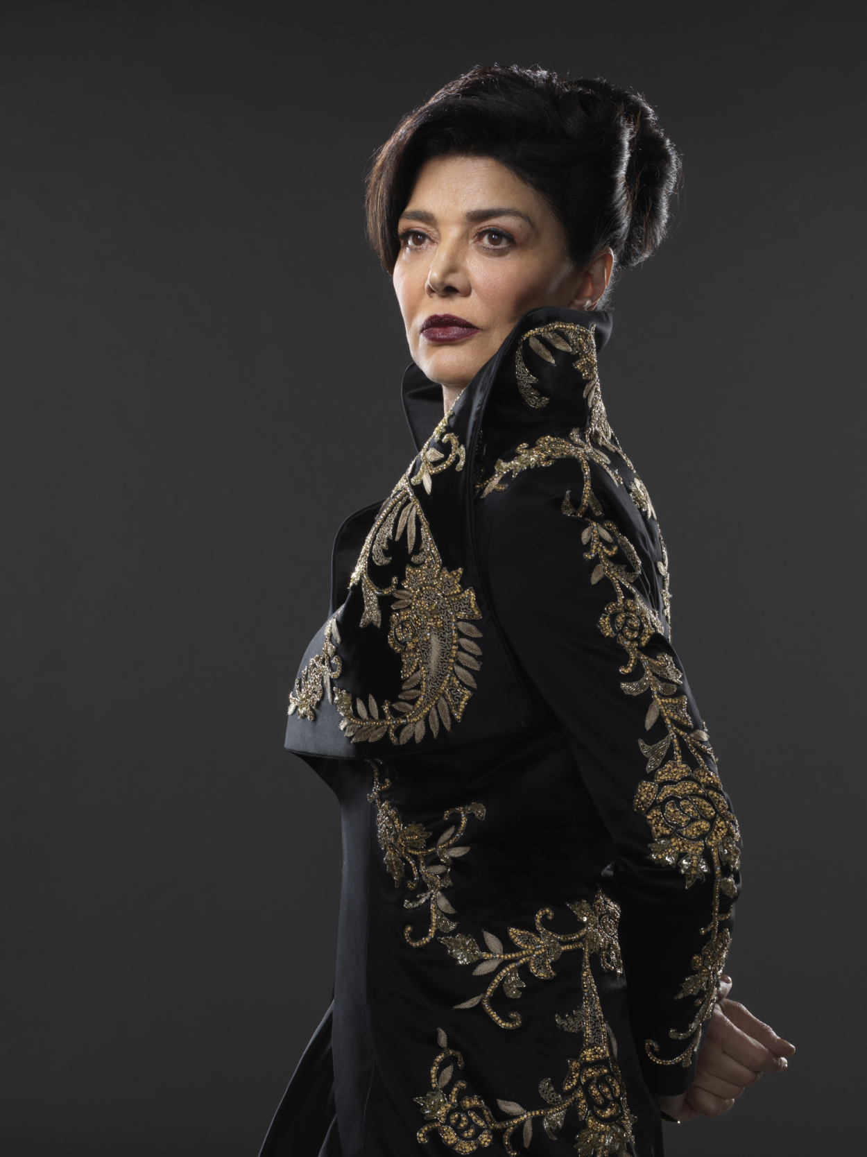 Chrisjen Avasarala Tv The Expanse Wiki Fandom As of june 27, 2018,update 36 episodes of the expanse have aired, concluding the third season. chrisjen avasarala tv the expanse