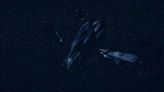 six stealth ships reveal themselves