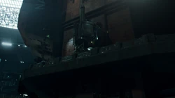 size comparison to Bobbie Draper