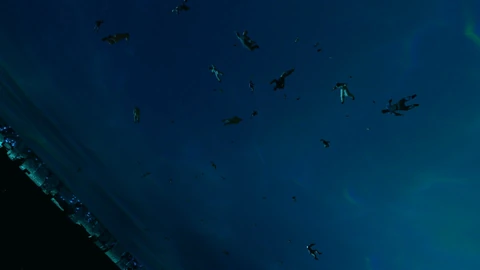 Dead crew of the Sojourner pulled into the Sol gate