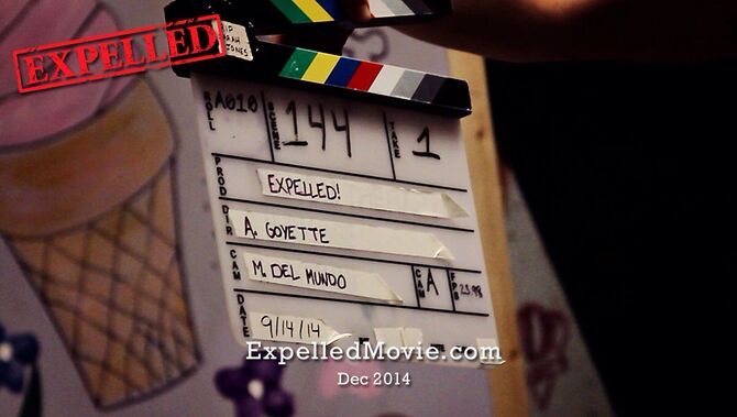 Lights, Camera, Action!