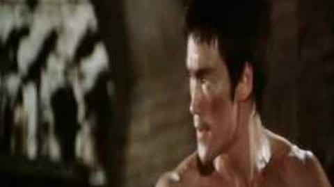 Bruce_Lee_Vs_Chuck_Norris_(Way_of_the_Dragon)