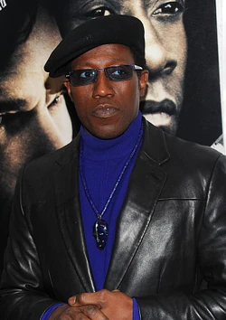 Wesley-snipes-brooklyns-finest