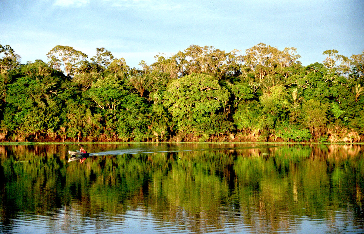 Amazon Rainforest  Exploration Wiki  Fandom