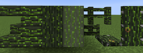 Infected-willow-variation