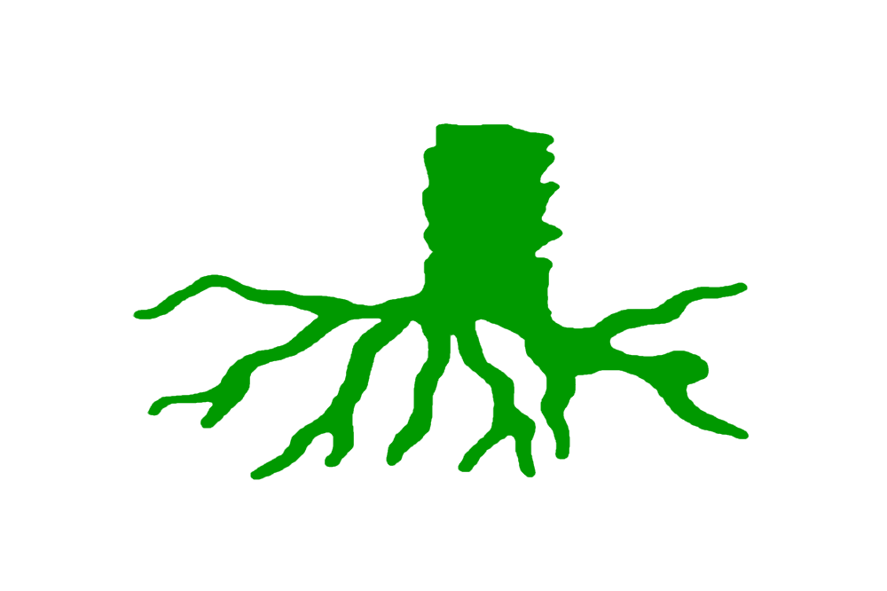 Sijilmasa Extended Timeline Wiki Fandom