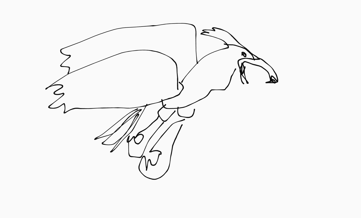 Haast eagle Extinct park Wiki Fandom