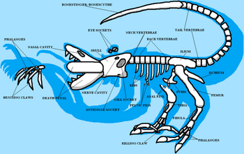 Aurixan Skeletal Diagram