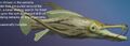 Lightbenderfish (Squamaekryptos homosavium)