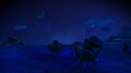 Point Petsyal: A Spurhoof Caeltoa herd moving at night