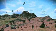 A flock of Orcbats fly over Alsanmenq Marsh.