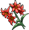 Galbana Lilies