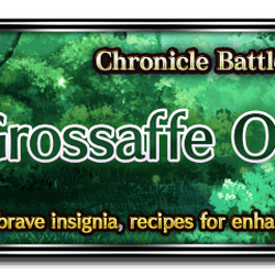 Chronicle Battle: Grossaffe Omega