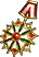 Knight's Medal