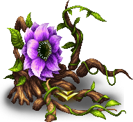 Antenolla D (Leaves)