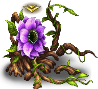 Antenolla A (Flower)