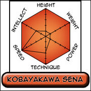 Sena Hexagon.jpg
