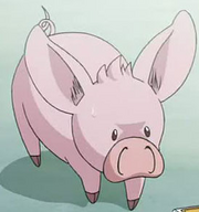 Pig-berus.png