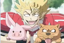 Pigberus Hiruma Cerberos