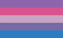 Bi Trans.png
