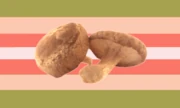 Mushgender Flag