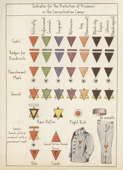 Nazi Badges.jpg